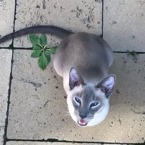 Meet your Posher, Lisa